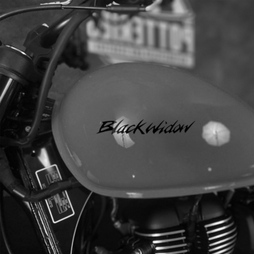 Наклейка на мотоцикл Honda Black Widow