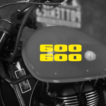 Наклейка Kawasaki Ninja 600 на мотоцикл