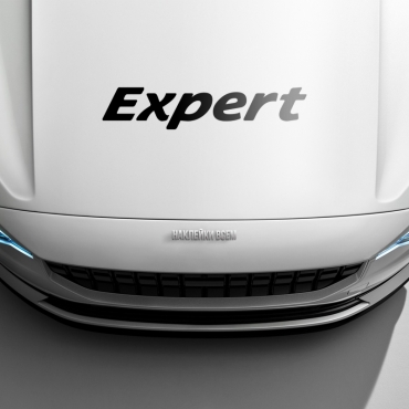 Наклейка Peugeot Expert