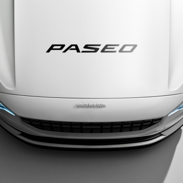 Наклейка Toyota PASEO