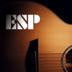 Наклейка ESP Guitars