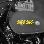 Наклейка Kawasaki ER-6f на мотоцикл