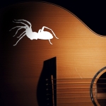 Наклейка птицеед на гитару